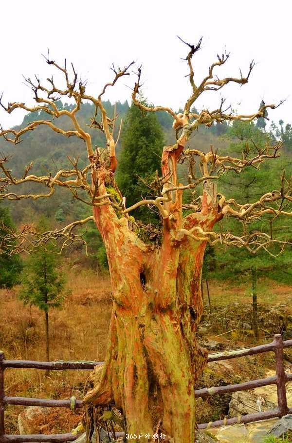 mmexport1546473543664