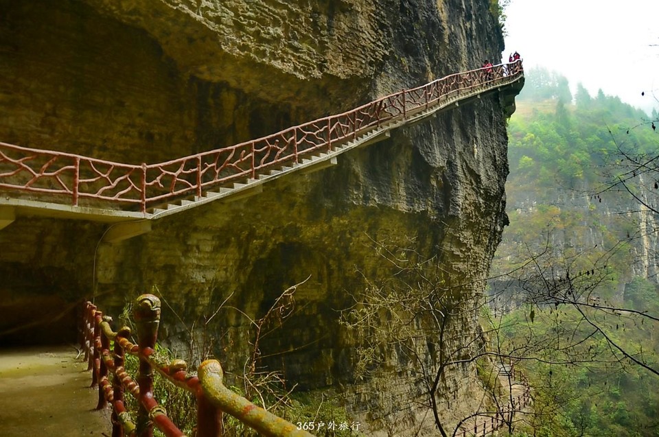 mmexport1546643310058