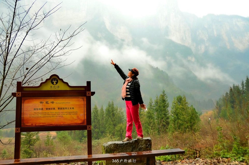 mmexport1546643911556