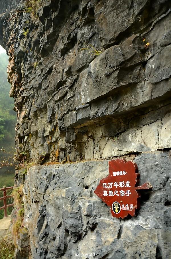 mmexport1546643274830