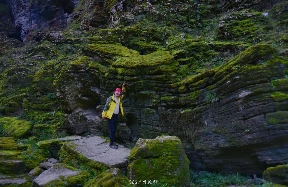 mmexport1546641273402