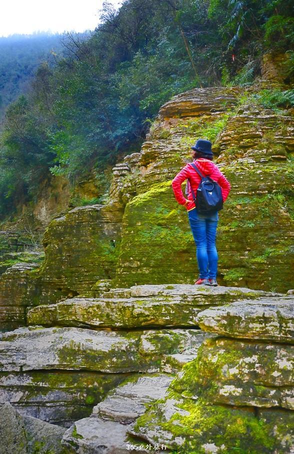 mmexport1546752276077