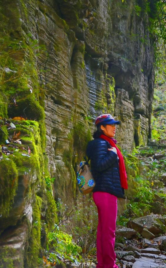 mmexport1546641139085