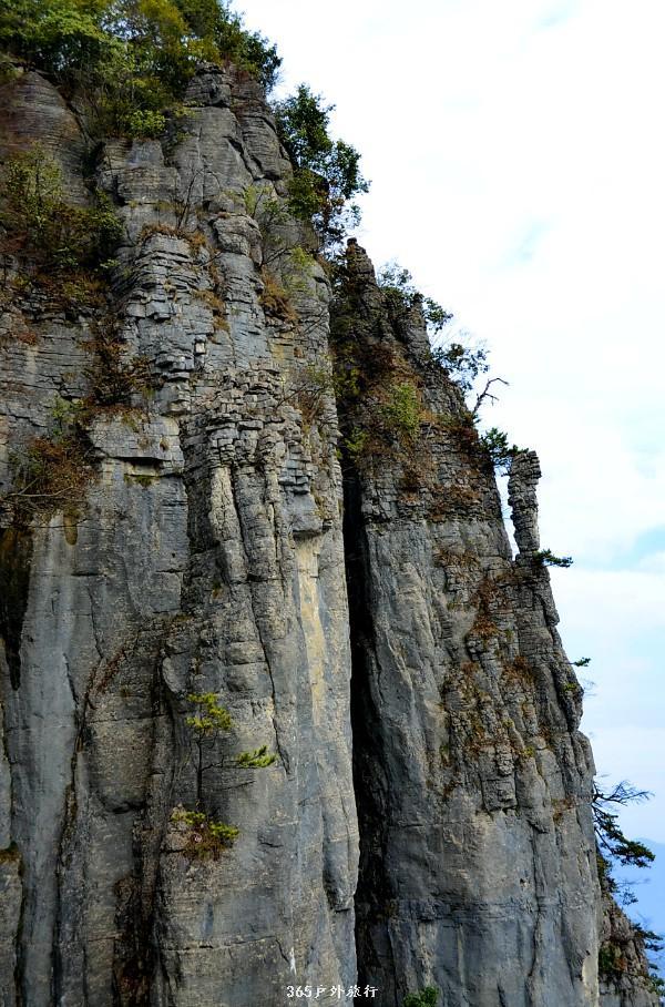 mmexport1546932856191