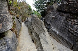 mmexport1546932838847