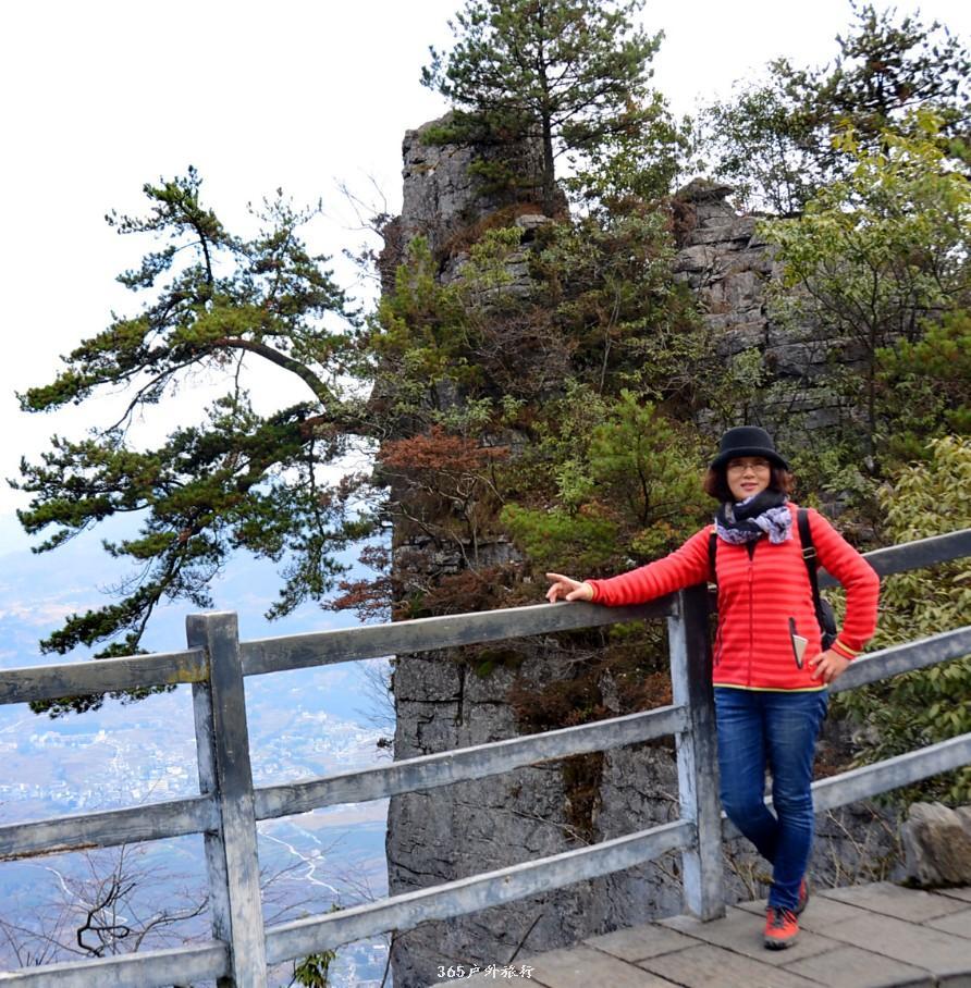 mmexport1546932831403