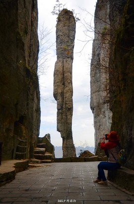 mmexport1546932766917