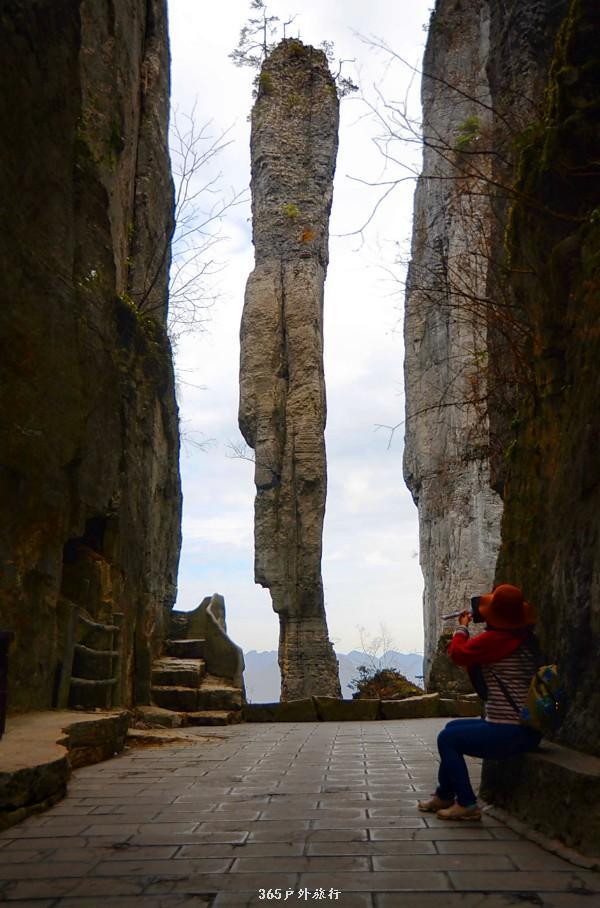 mmexport1546932766917