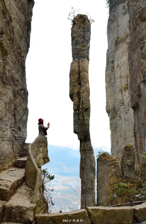 mmexport1546932727538