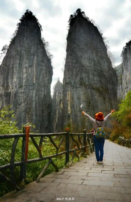 mmexport1546932678170