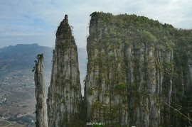 mmexport1546932644994