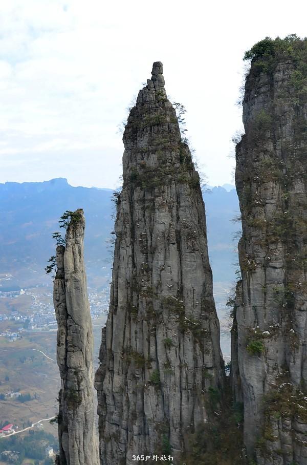 mmexport1546932668100