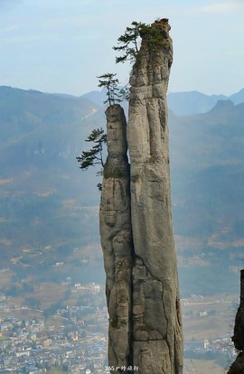 mmexport1546932633467