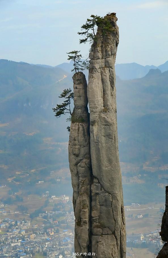 mmexport1546932633467