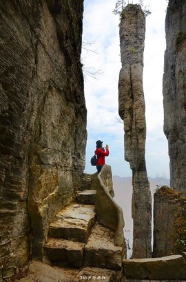 mmexport1546921063031