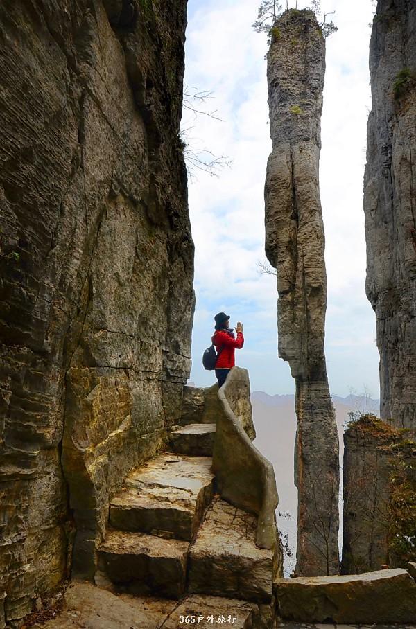 mmexport1546921063031