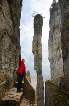 mmexport1546919362424