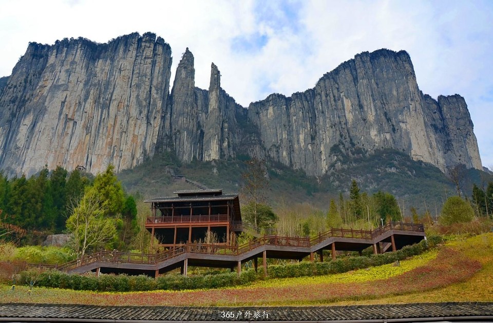 mmexport1547027732286