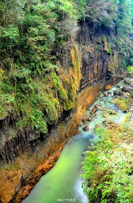 mmexport1547027563772