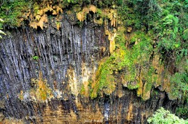 mmexport1547027568205