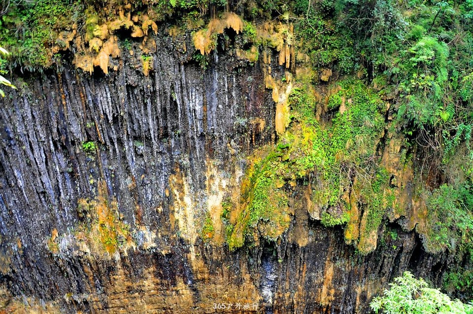 mmexport1547027568205