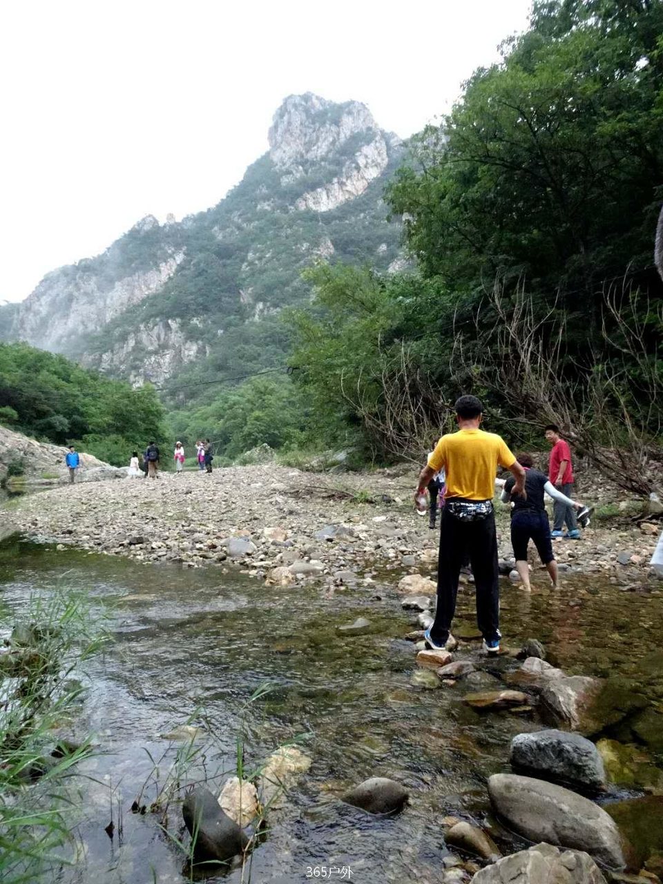 EVLlp3NMOJq8P7jvlLrzS8W1bKYiaJU4Rj2pnVVfle4Q5SpN6P6g2RIKEKTkr6Ct