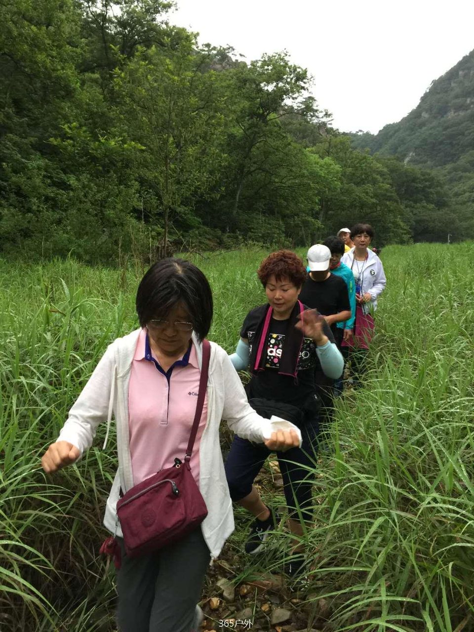 QANb_LJKtkmjQtPyhOeYPLwj4FUQeMzmXmblt7qUfqSZetONxnu18tAeYmrO1LYu