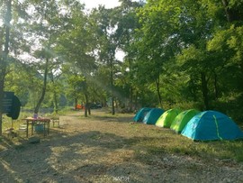 cjiPSF1fwIg3wndK68gGUpnLN8KAp7gvMfbwULRTk-z1-wMMcQwtexYUcR5SVs9s