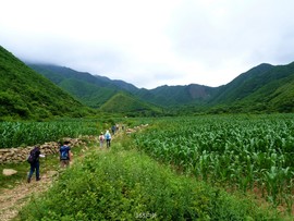 UFzMdbR7MshOC47VzgqvgwxVXKr4j0wtfjhHSLqM0T0jZx6ZepDpM5x4NGl0HBOu