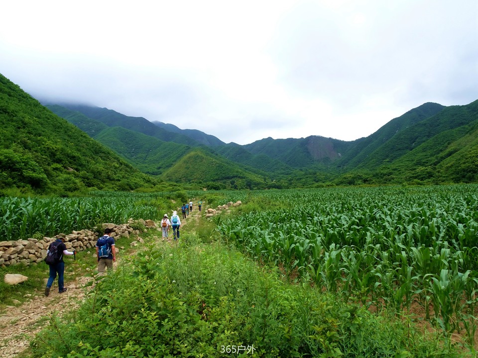 UFzMdbR7MshOC47VzgqvgwxVXKr4j0wtfjhHSLqM0T0jZx6ZepDpM5x4NGl0HBOu