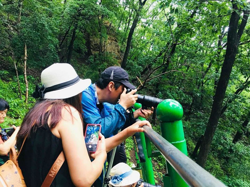 5uVLNs7dyD5n5WfDWBRwUj5w9IfMZO93YgY0-_ln6k0fNZUoPr9KW3Qqa2vfCewE