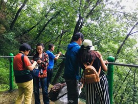 GHgZnc3dhUjXAfCq4FYzgkagkc2NAsRvt34iefD4mCI4Pp5Pqoq_PLDLTtn7mcVU