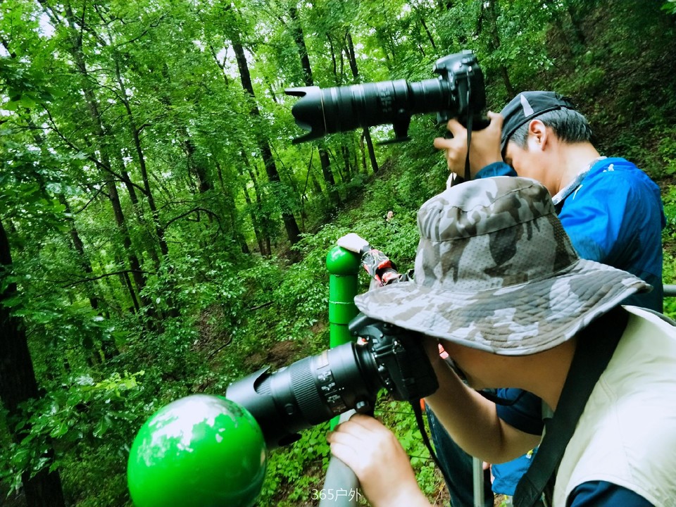 1SeOFxr6x0yIGm4eQVKFGzgp040trR5fVSQ-itYugS-Qr8naQmw5NH2Qf4twrQD_