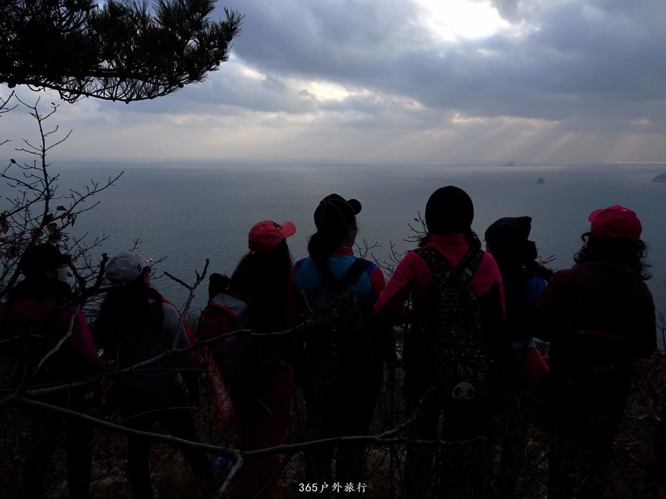 mmexport1543739509892