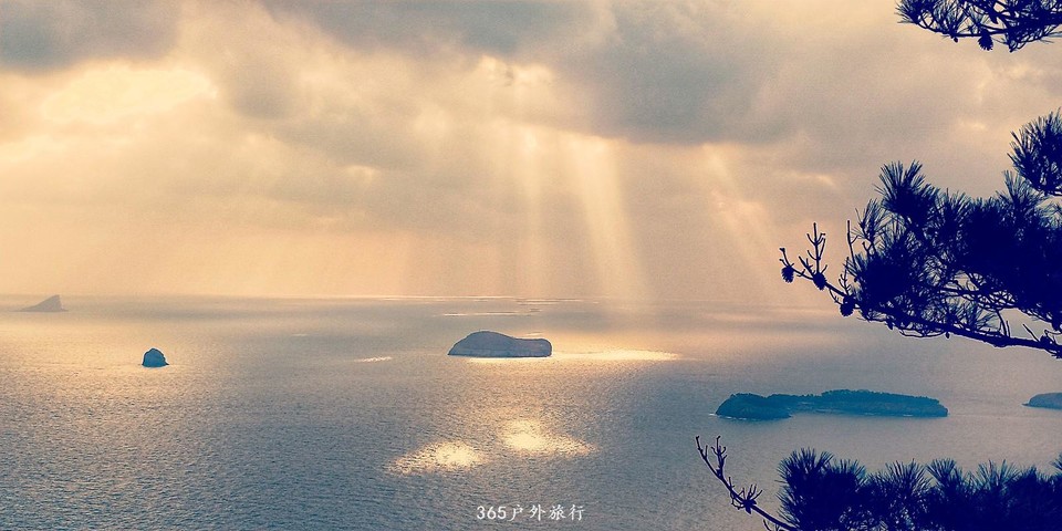 IMG20181201145659-01