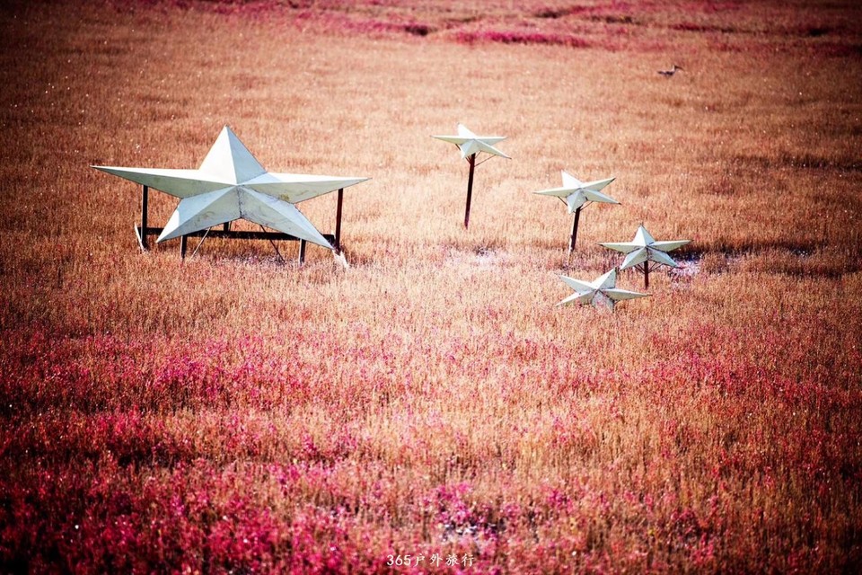 365户外27号红海滩活动大片分享给大家 摄影师 知足者乐（曾潮汉）  活动领队小娜佳