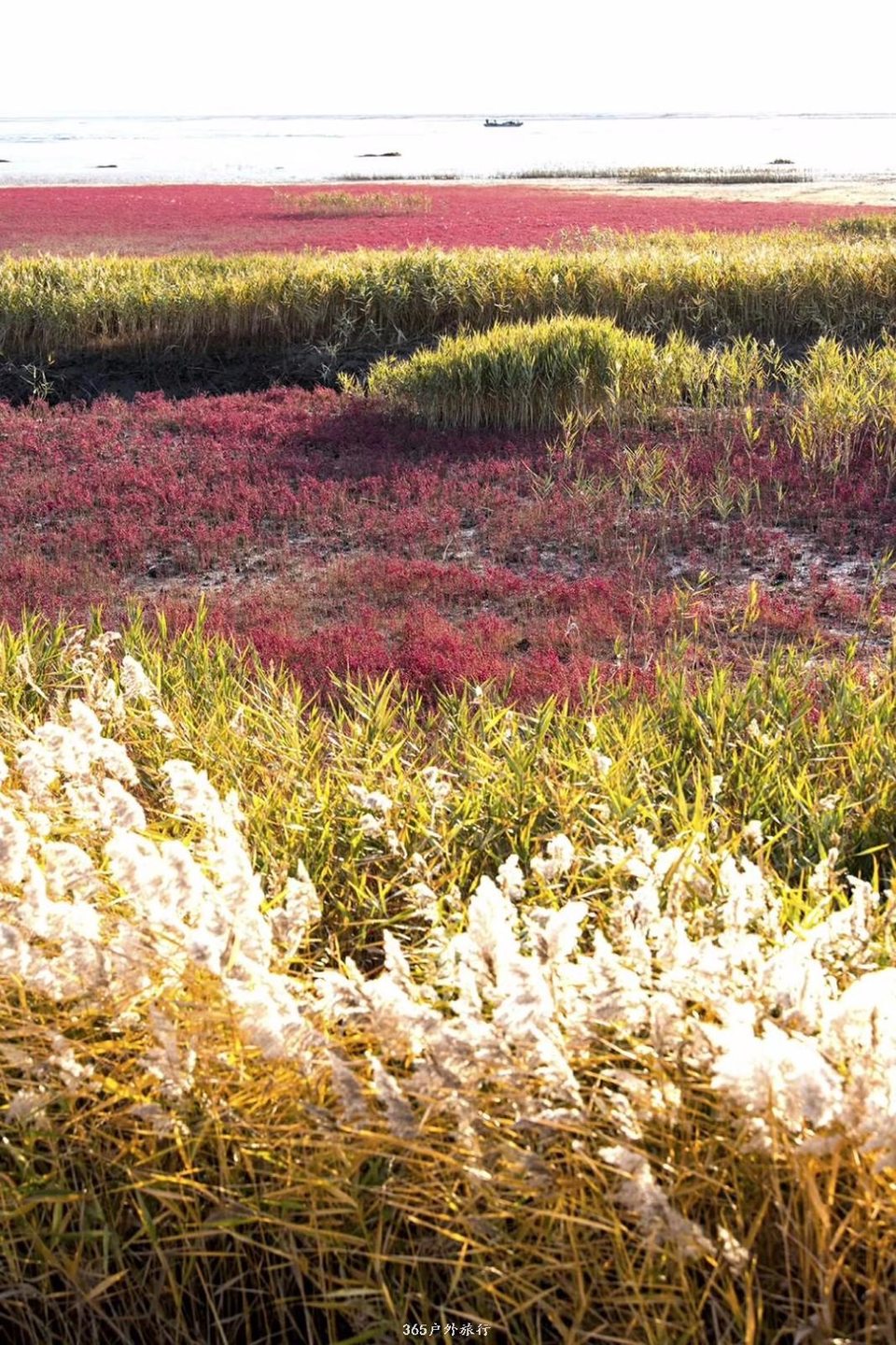 365户外27号红海滩活动大片分享给大家 摄影师 知足者乐（曾潮汉）  活动领队小娜佳