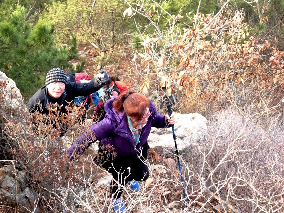 mmexport1545481756021