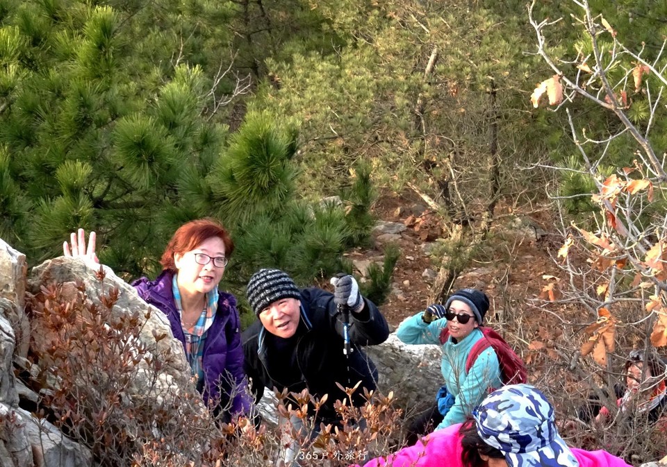 mmexport1545481739858