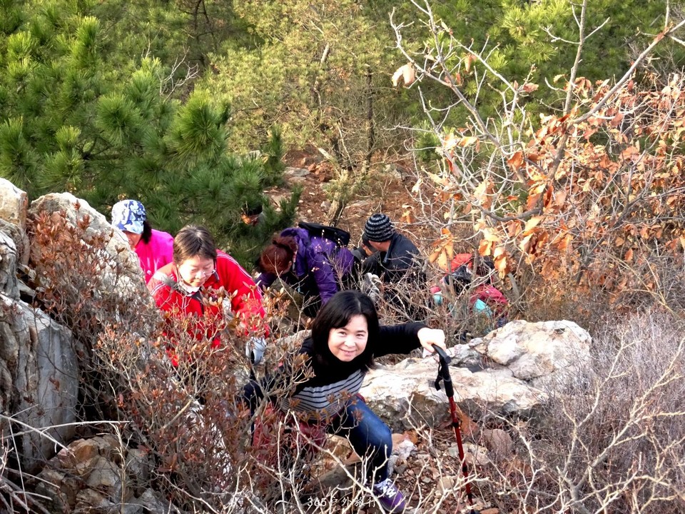 mmexport1545481729445