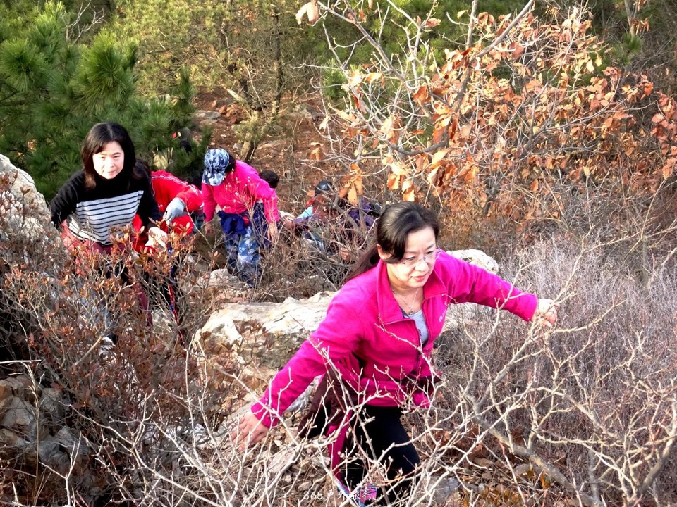 mmexport1545481720971