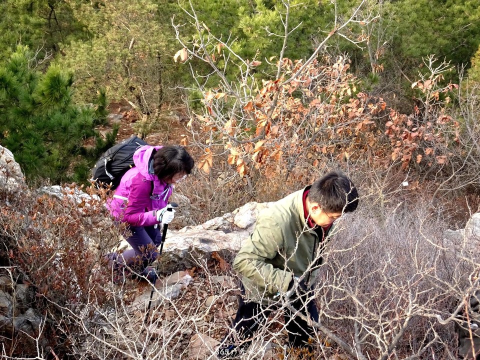 mmexport1545481801827