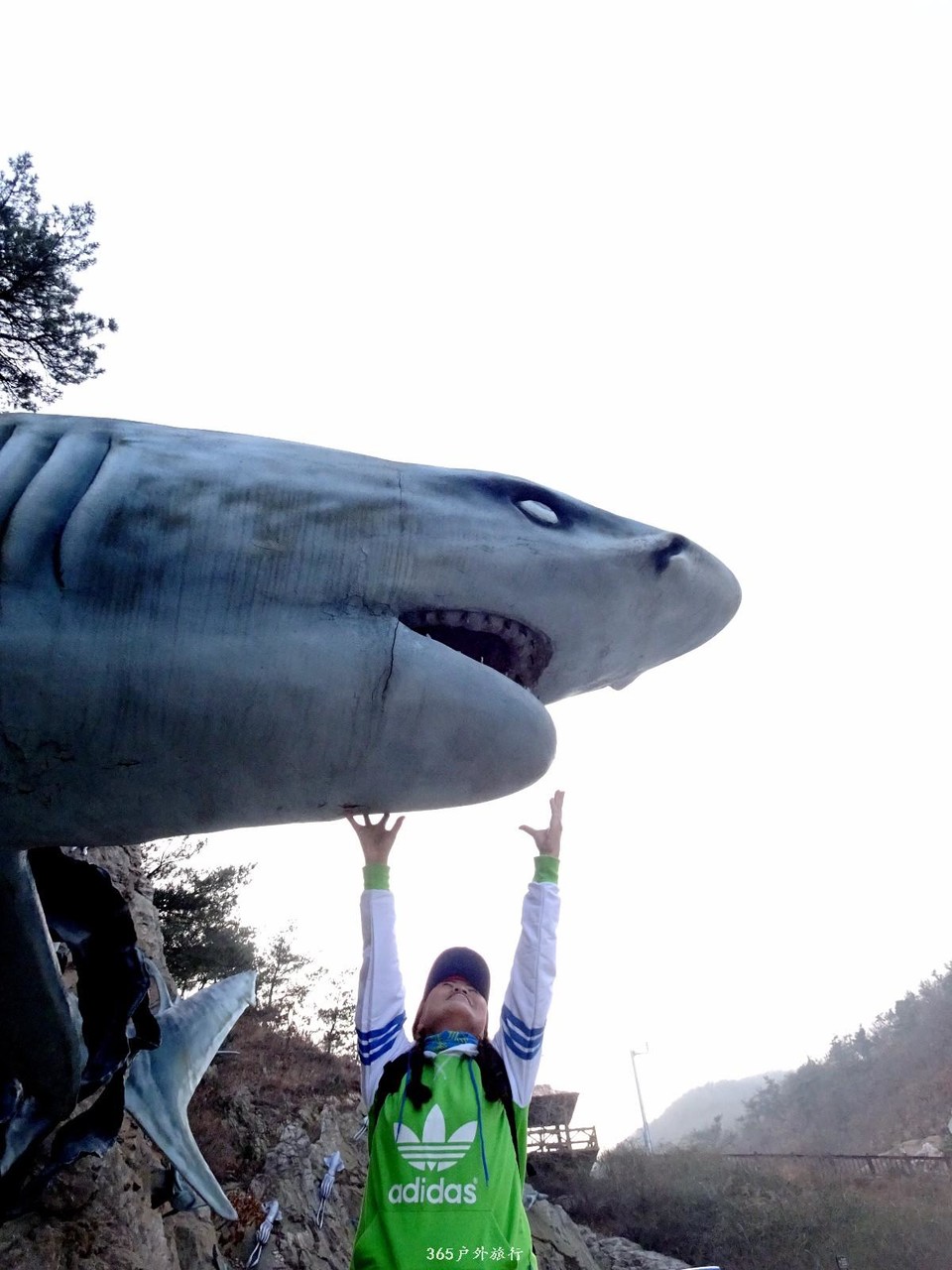 mmexport1545482497275