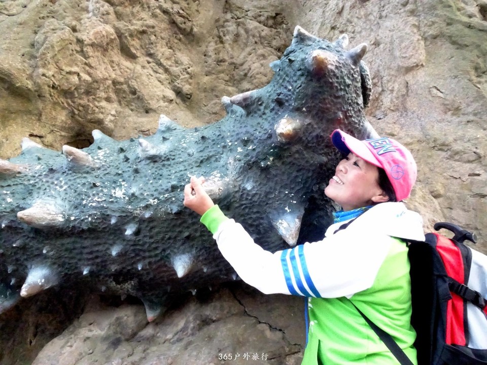 mmexport1545482506685