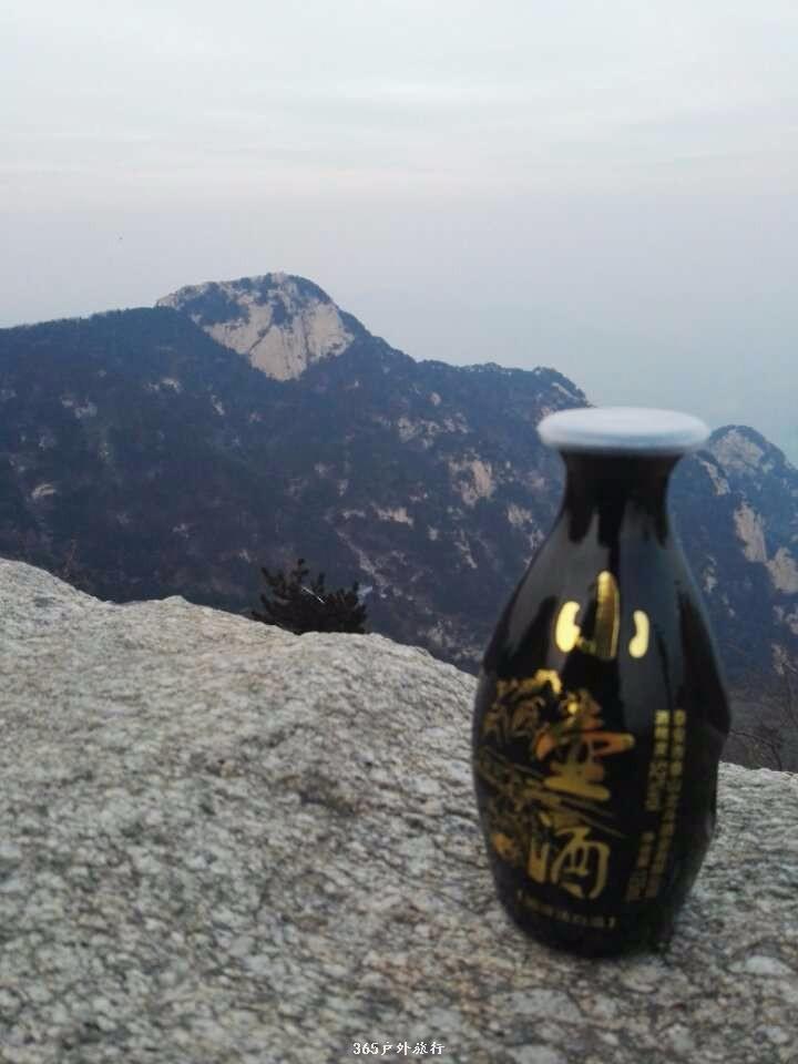 mmexport1546257154349