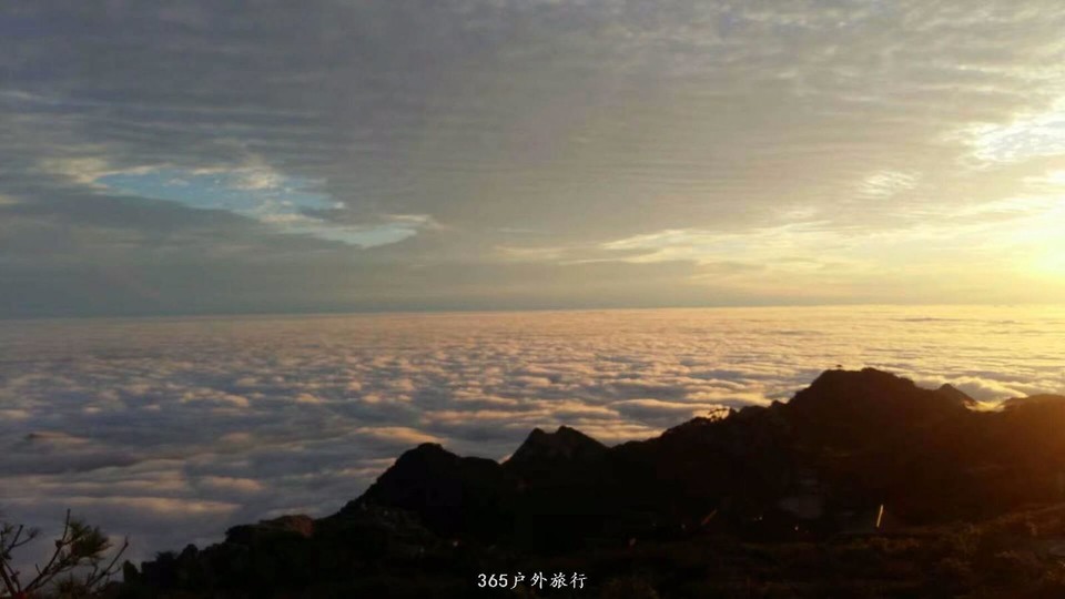 mmexport1546304448631