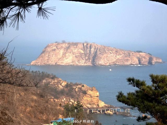 mmexport1547133738096