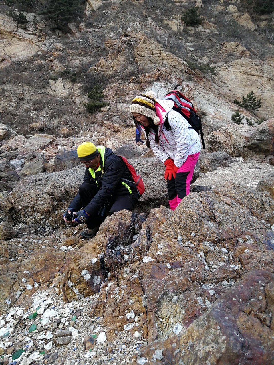 mmexport1547898822764