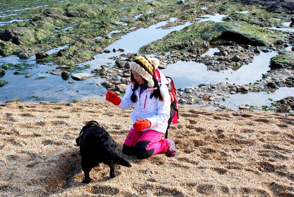 mmexport1547907973880