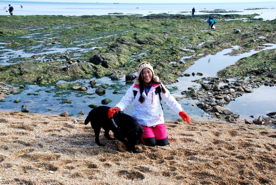 mmexport1547908035392